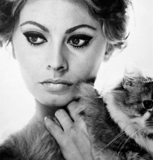 theswinginsixties:

Sophia Loren and friend.