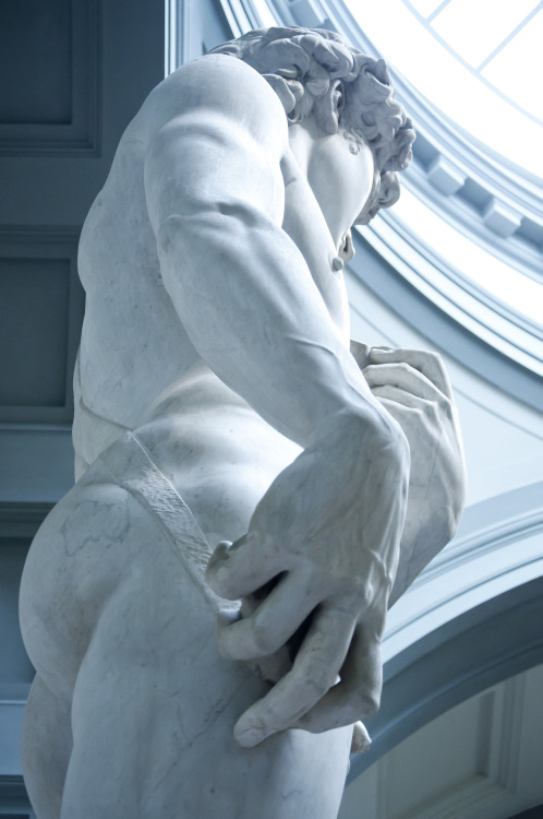 fabforgottennobility:

	David – Michelangelo da rupertalbe -…