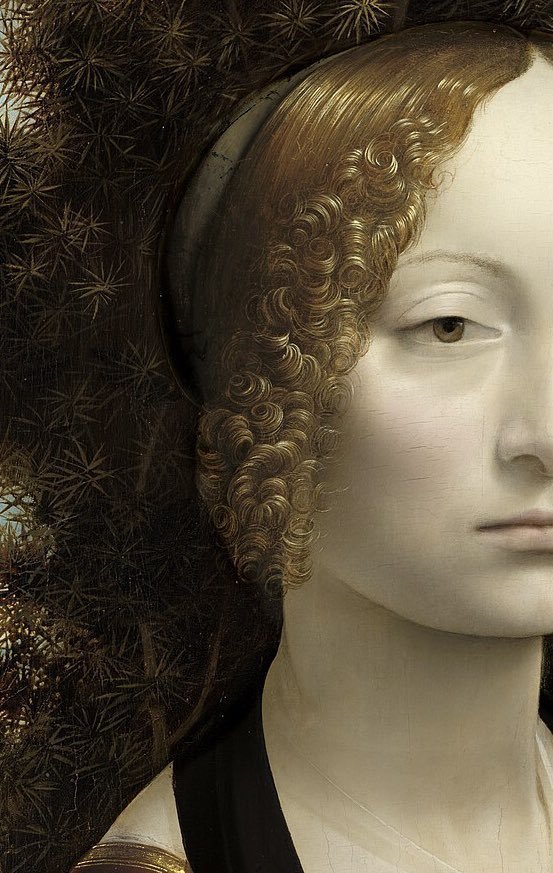 Leonardo da Vinci. c.1474.