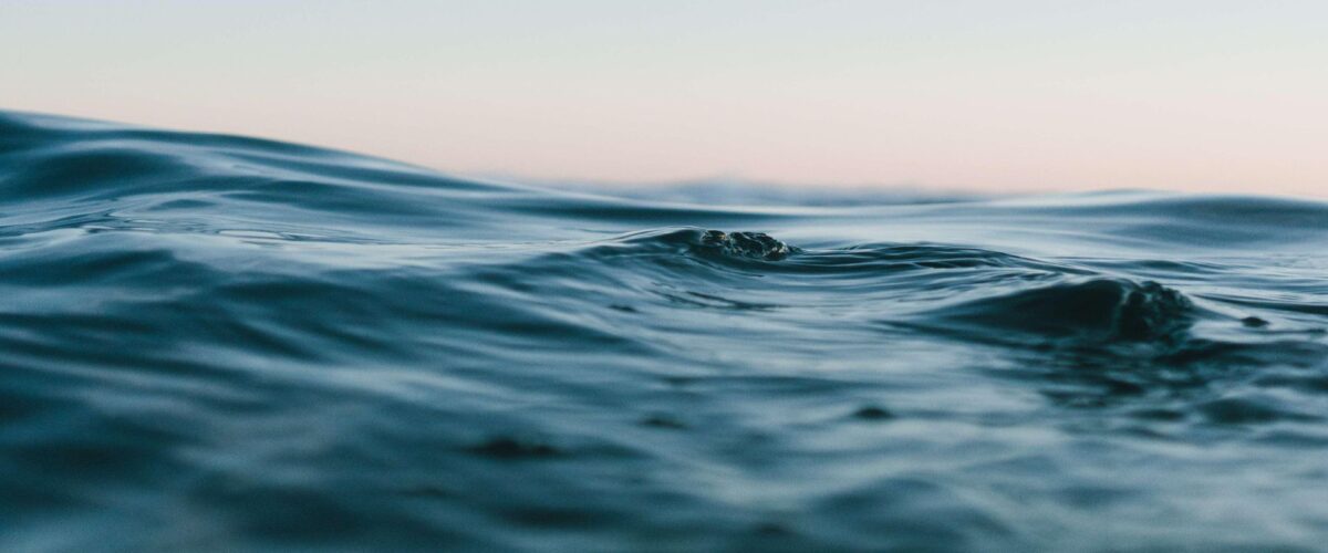 Breath – il respiro del mare – documentario esplosivo sul pesce perduto in Senegal