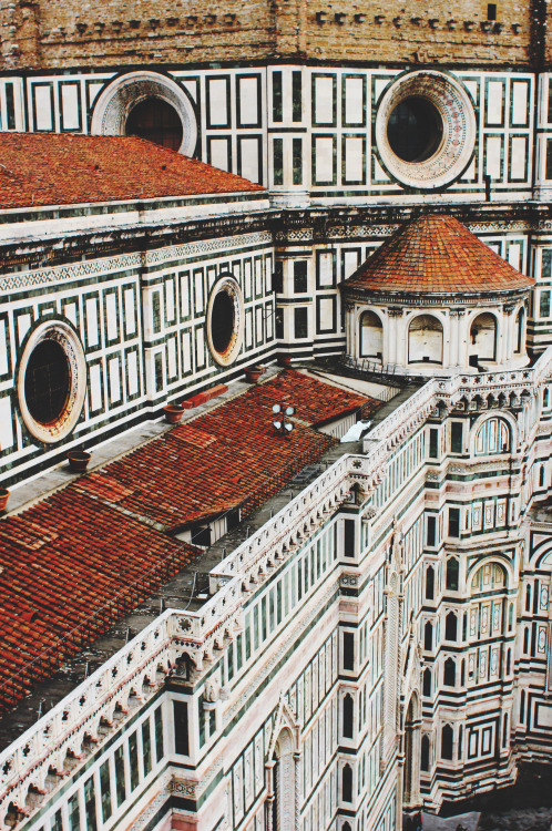 arianeka:Firenze.

 | instagram