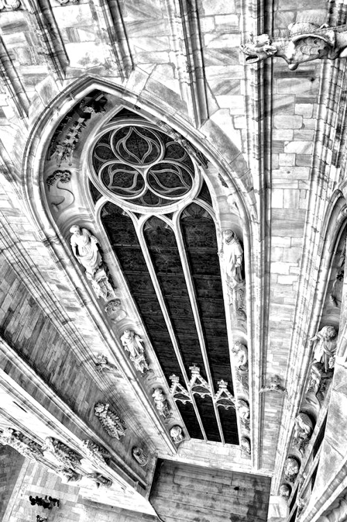 beautiful-contrast:

Metropolitan Cathedral-Basilica of the…