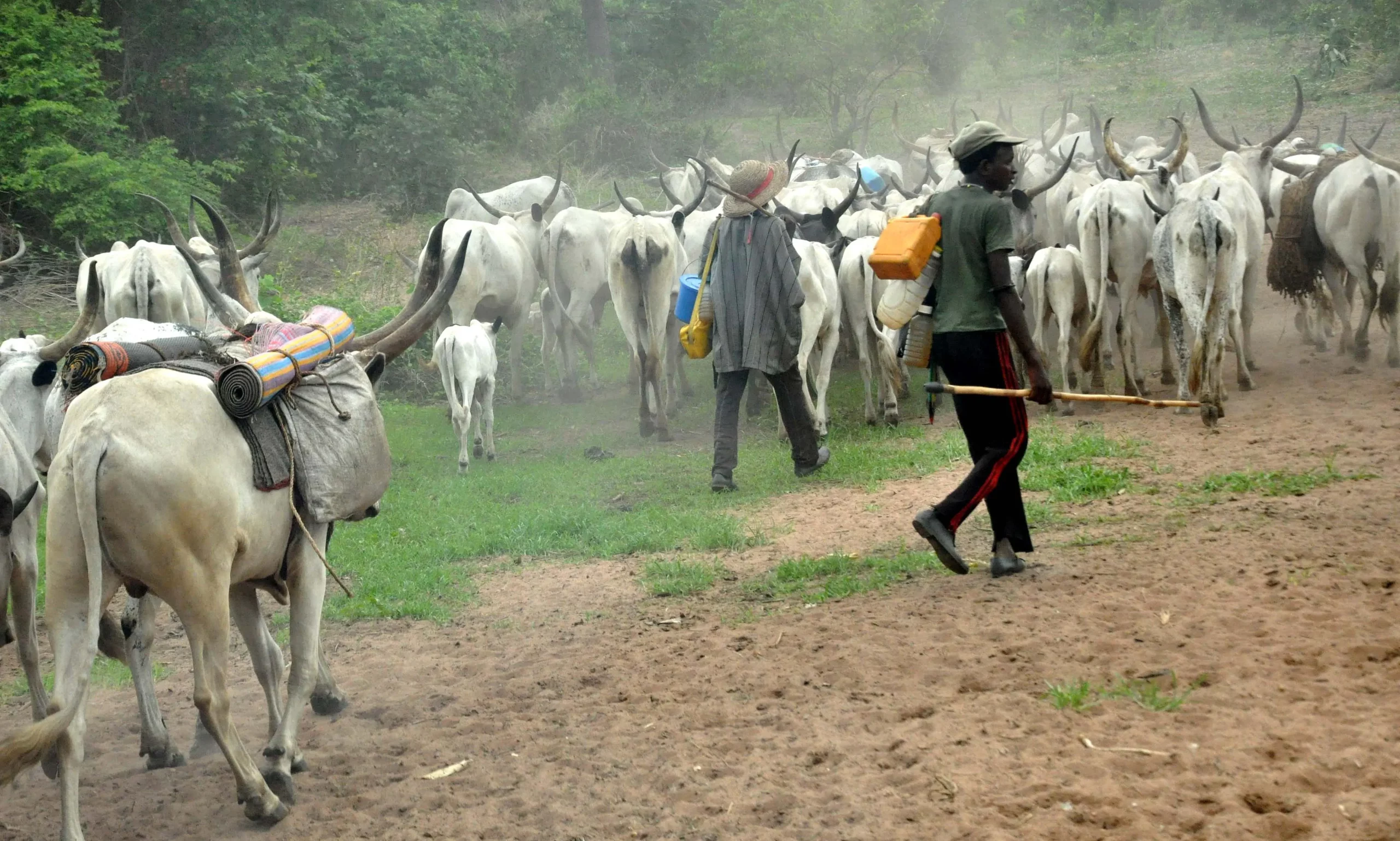Violenza e sofferenze in Nigeria: i fulani si danno ai massacri continui
