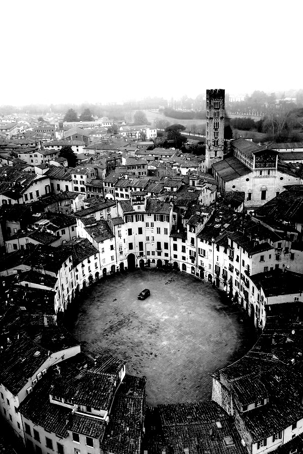 Lucca by Massimiliano Lazzi
