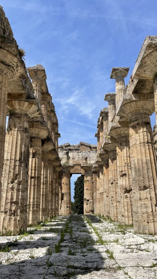 Temple of Hera II in Paestum, Italy 🇮🇹