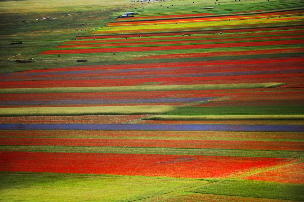 fabforgottennobility:

ITALYCastelluccio di NorciaSaline di…