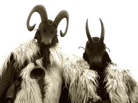 @dune-mosse, amici tuoi….