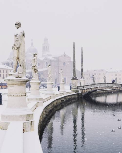 cpahlow:

Had to share this @weheartit Padua, Italy ❄️