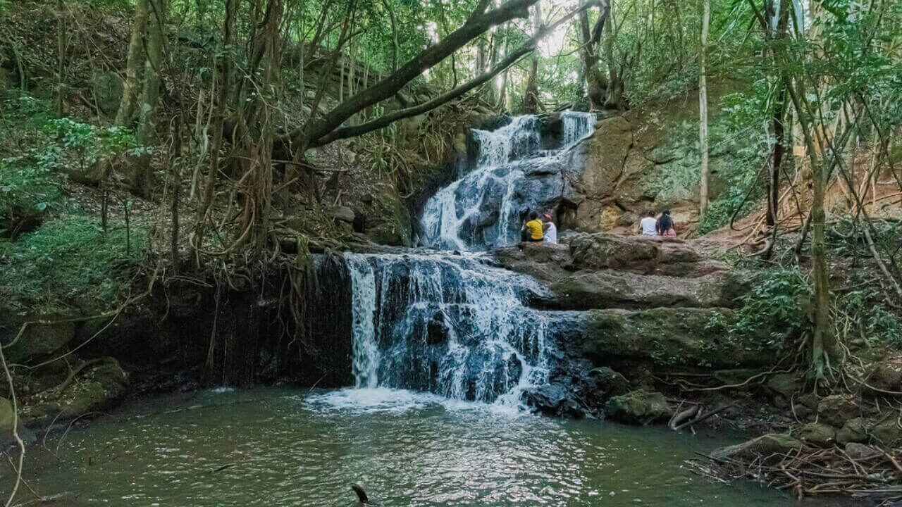 Karura Forest, polmone verde nel centro di Nairobi minacciata dal cemento