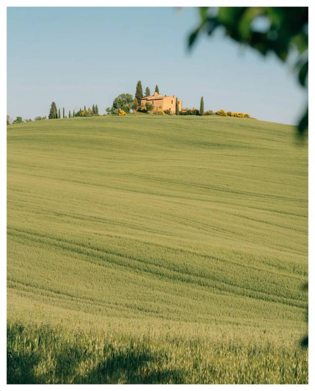Days of spring in the Tuscany countryside. 🌿