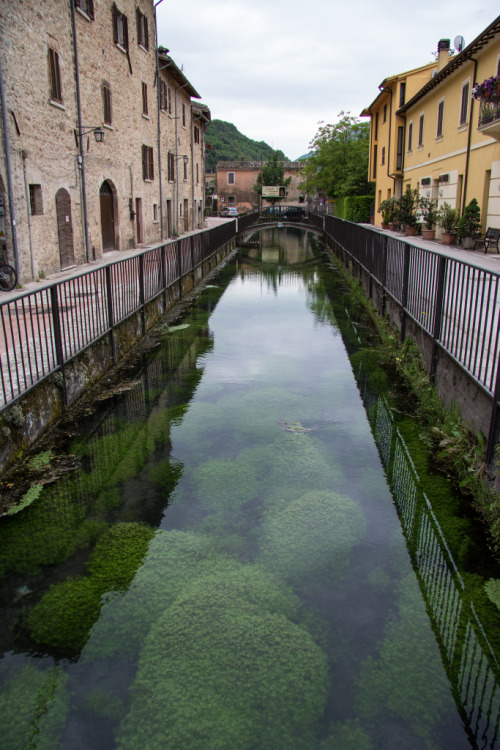 breathtakingdestinations:

Scheggino- Italy (by Andrew Moore)